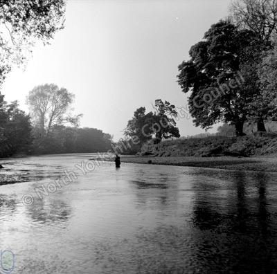 Fishing, River Ure, Ripon